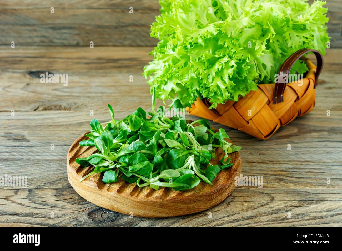 Valerianella locusta,corn salad,lamb's lettuce. Fresh green Corn salad leaves on wooden desk. Stock Photo