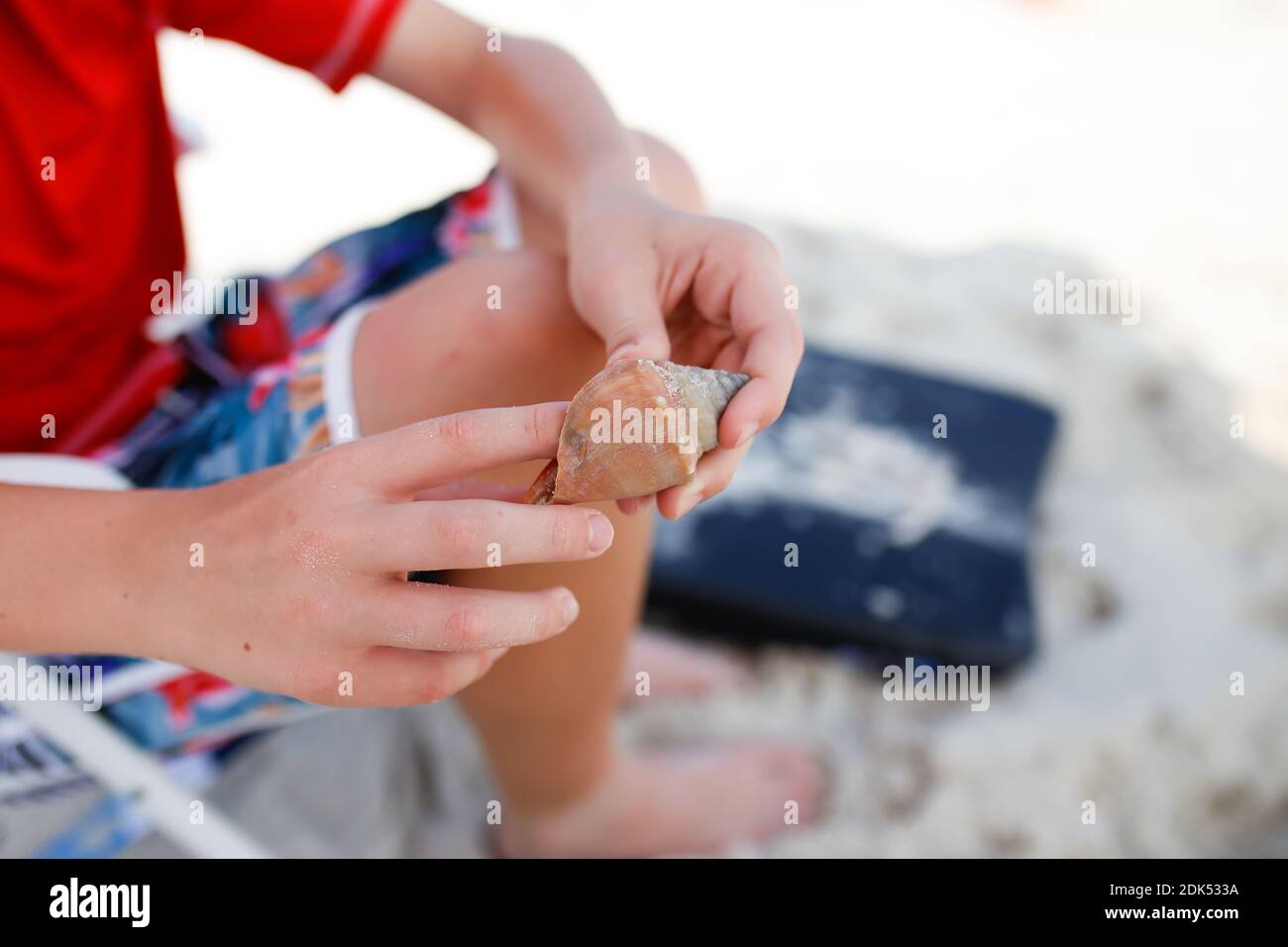 Midsection Of Man Shell At Beach Stock Photo