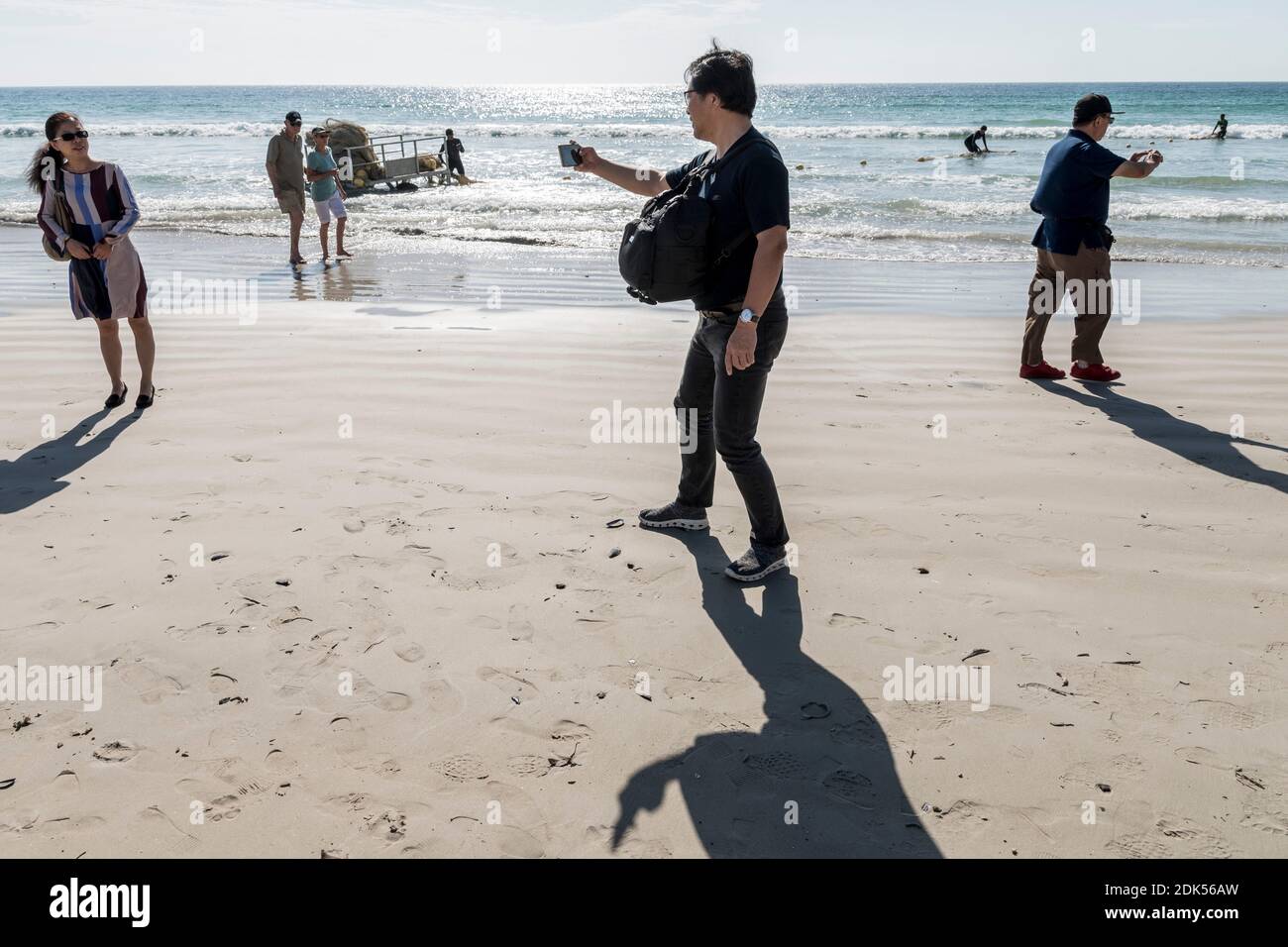 Chinese tourists take photos on Fish Hoek Beach, Cape Town, South Africa. Shark Spotters deploy shark exclusion barrier in ocean in background. Stock Photo