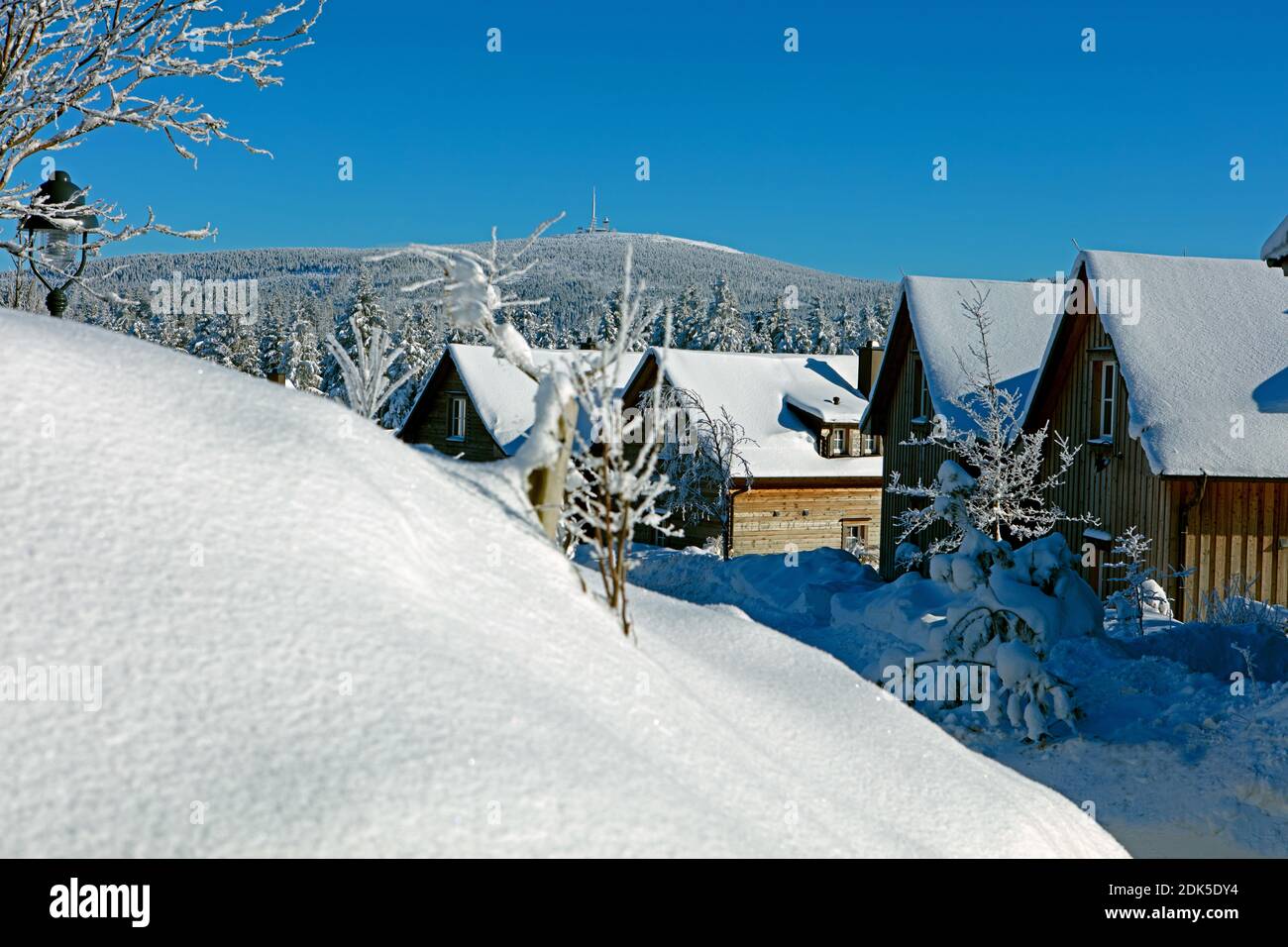 Lower Saxony, Harz, winter landscape in the Upper Harz near Torfhaus, Stock Photo