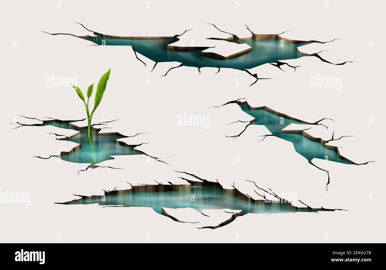 Sprout growing through ground crack with water inside, earthquake