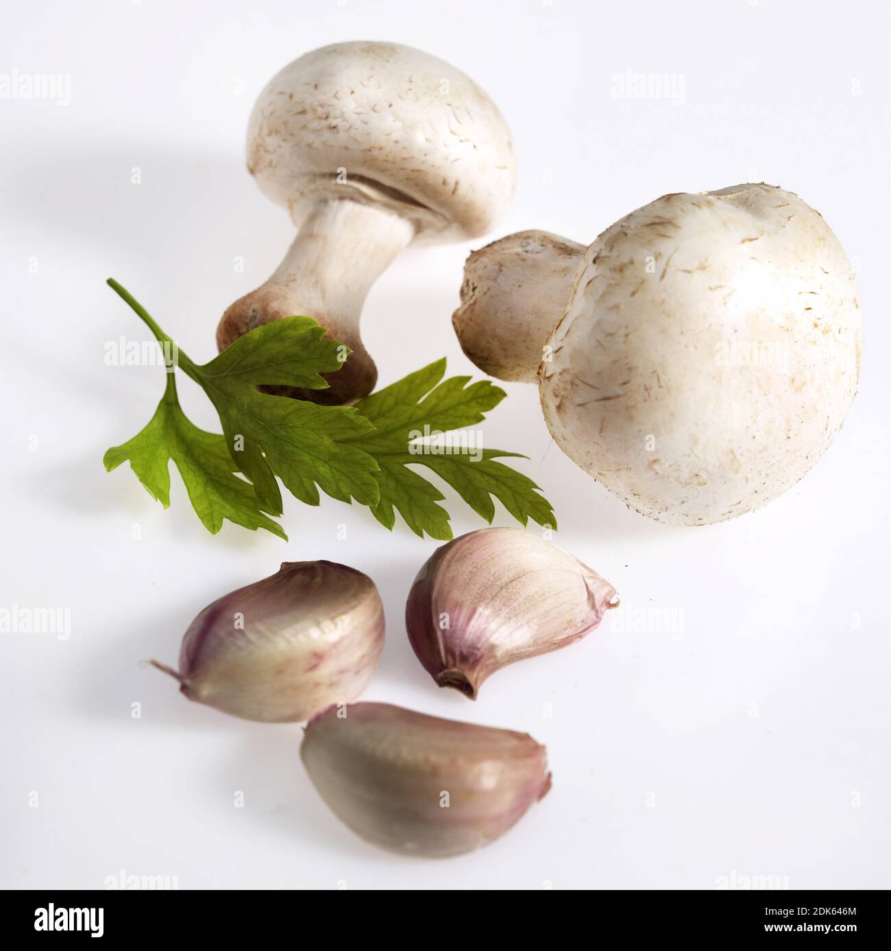 Button Mushroom or Cultivated Mushroom, agaricus bisporus with Parsley and Garlic Stock Photo