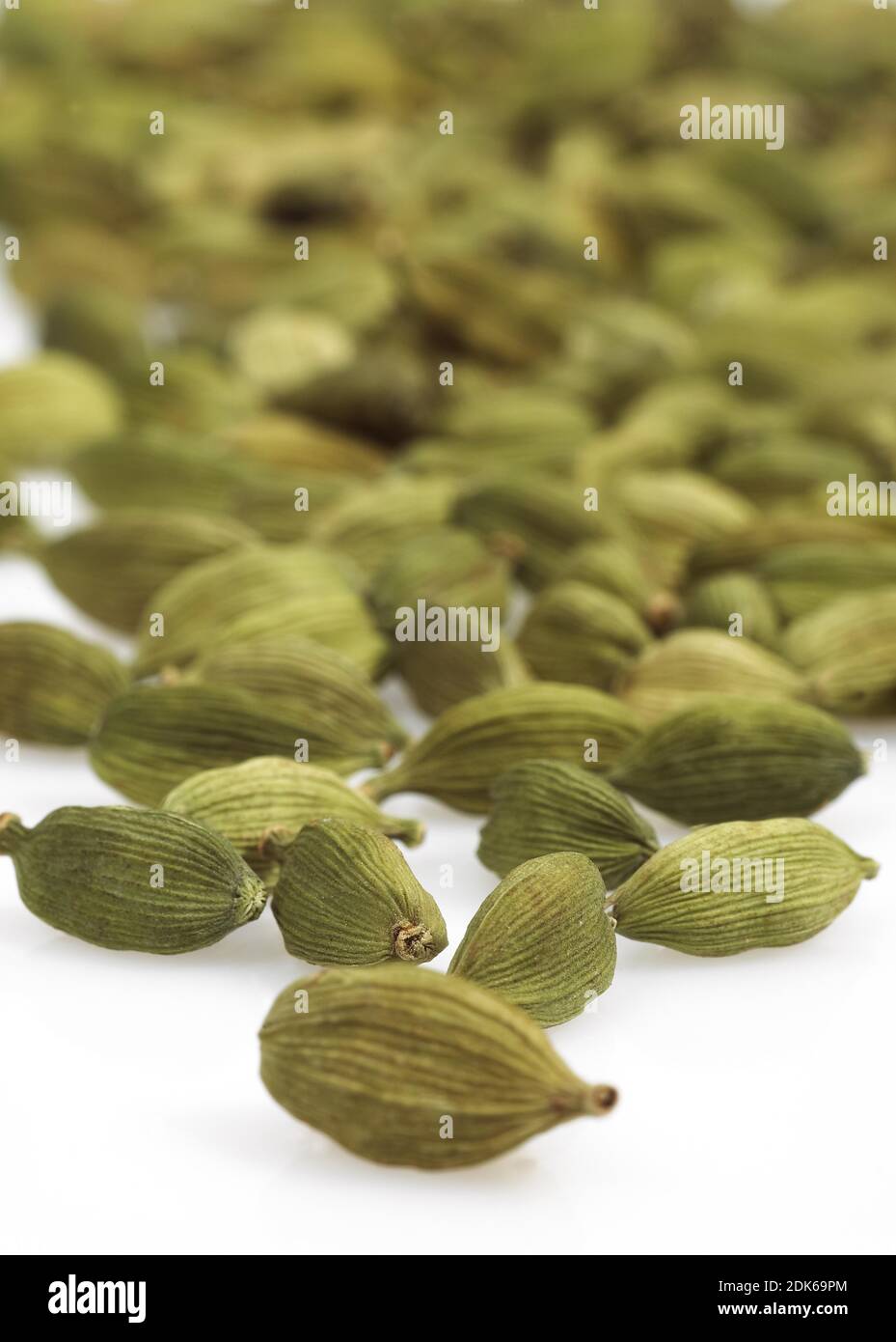Cardamon Seeds, elettaria cardamomum Stock Photo Alamy