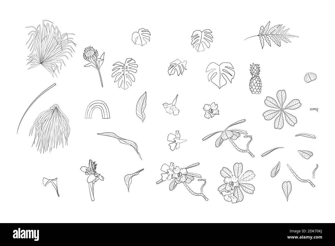 Set of monochrome boho tropical house plants and home decor objects black ink line art. Flat vector illustration. Stock Vector