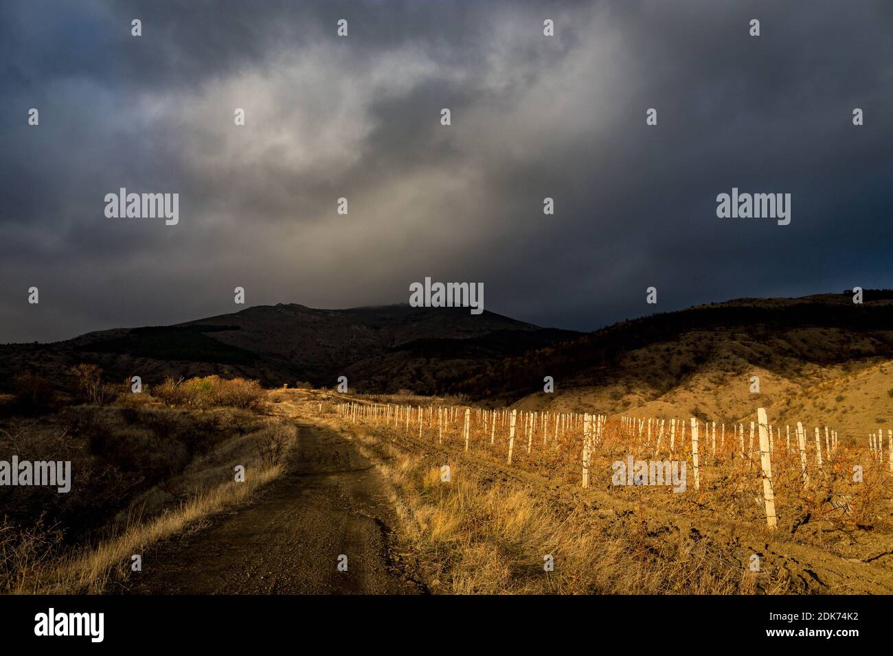 Scenic View Of Field Against Cloudy Sky Stock Photo