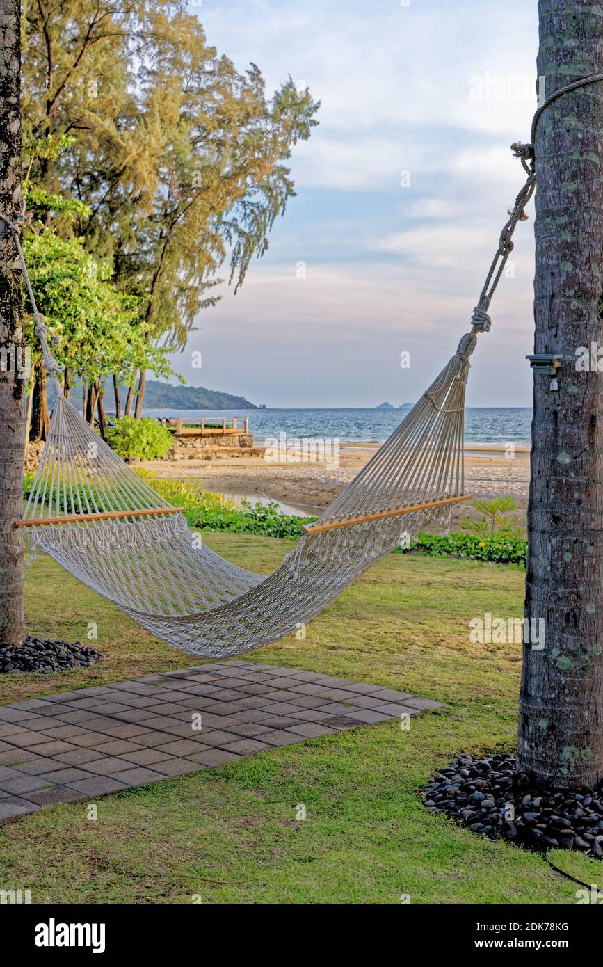 Rope hammock for online trees