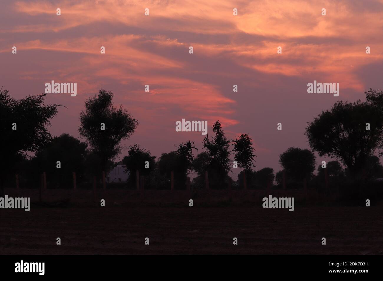 Dense jungle hi-res stock photography and images - Alamy