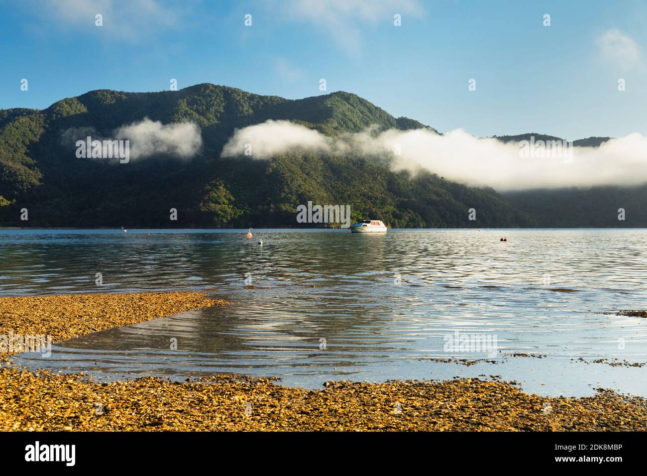 Morning mist on Queen Charlotte Sound at Momorangi Bay, Marlborough Sounds, Picton, South Island, New Zealand Stock Photo