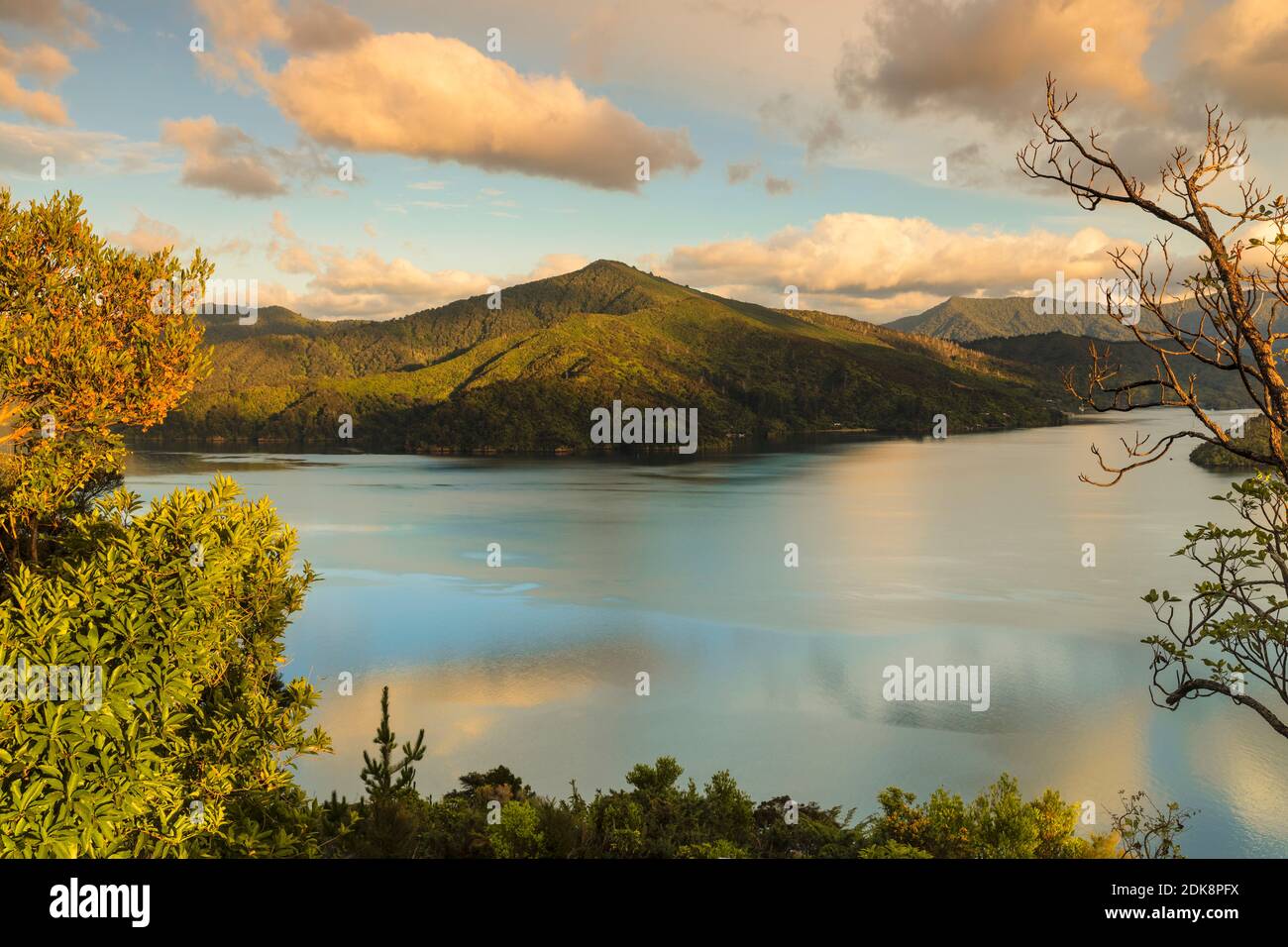 Queen Charlotte Sound at sunrise, Marlborough Sounds, Picton, South Island, New Zealand Stock Photo