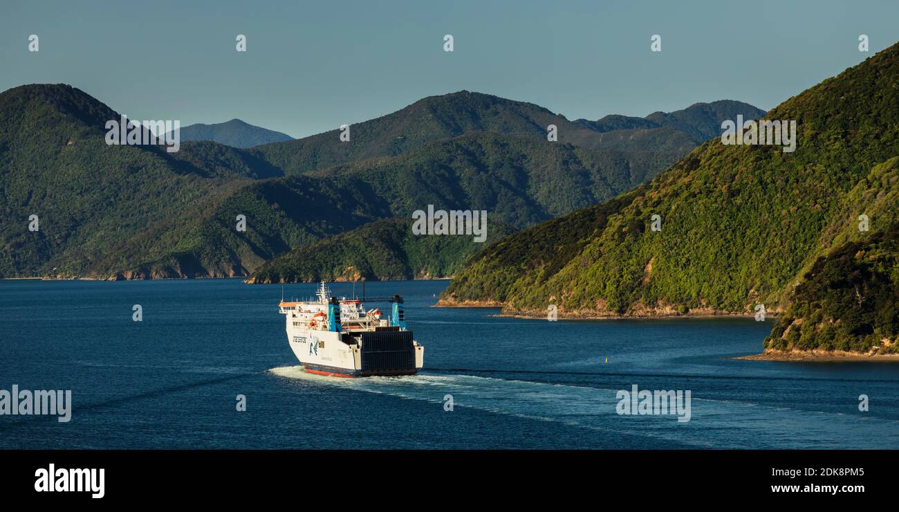 Ferry departing in Queen Charlotte Sound, Picton, Marlborough Sounds, South Island, New Zealand Stock Photo