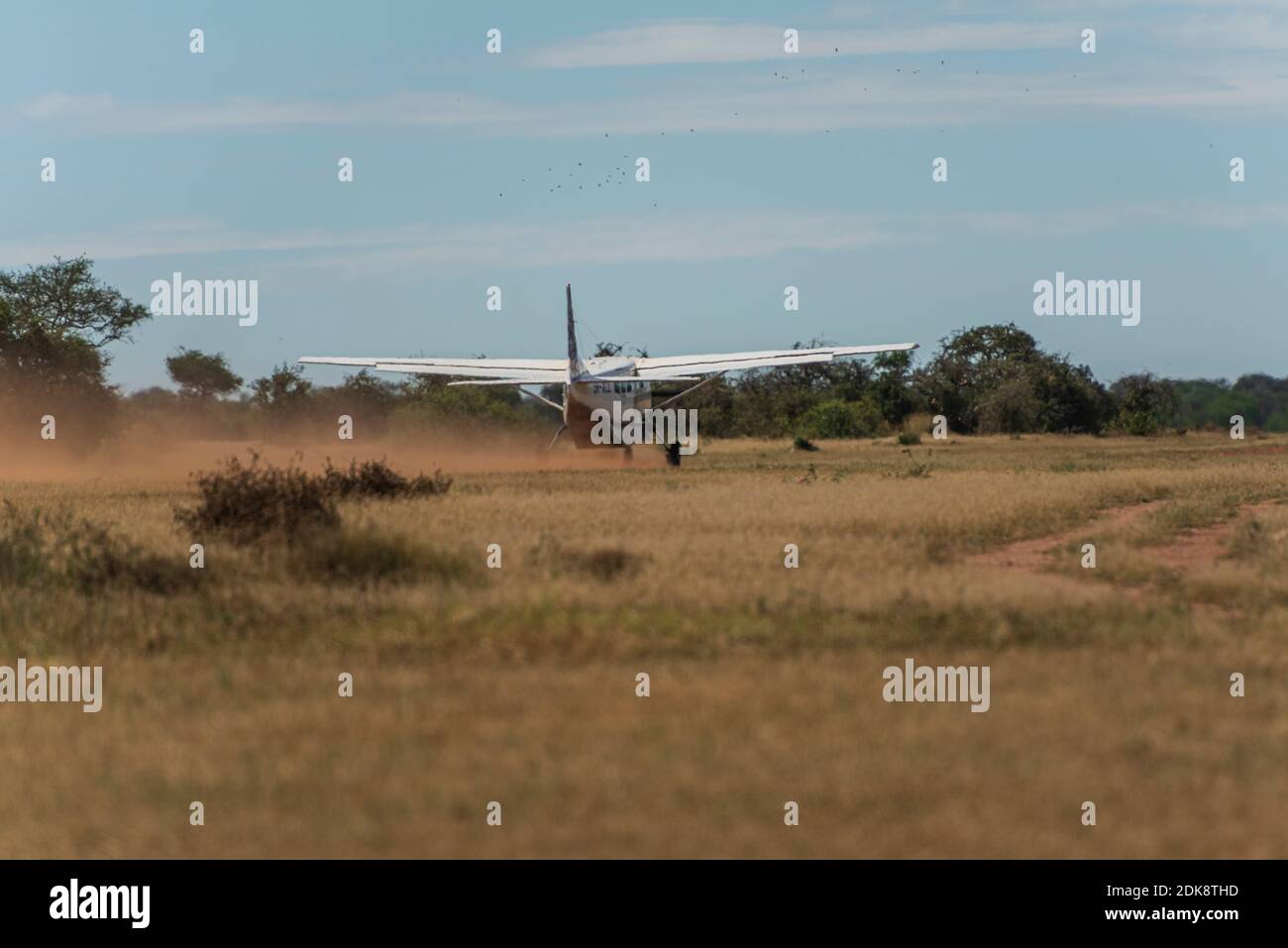 Cessna in der Serengeti, Tansania. Stock Photo