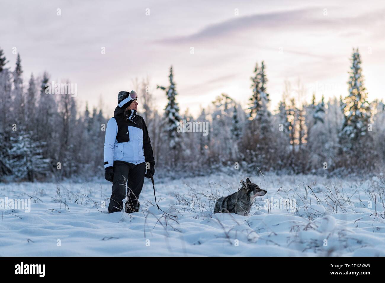 Woman walking dog at winter Stock Photo