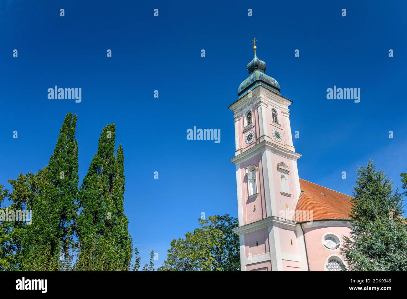 Forstern hi-res stock photography and images - Alamy