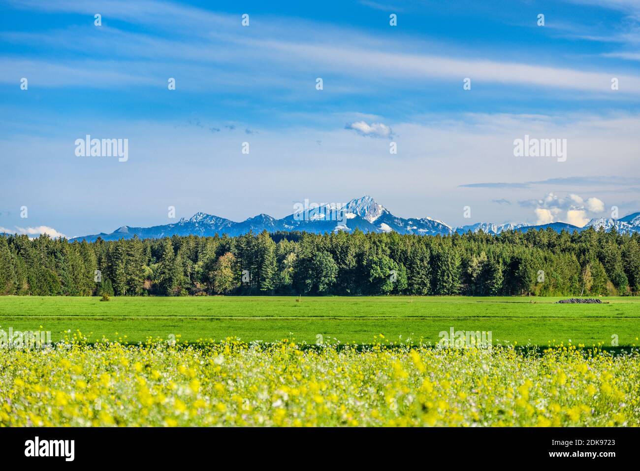 Germany, Bavaria, Upper Bavaria, Tölzer Land, Dietramszell, district Lochen, cultural landscape against the Wendelstein massif Stock Photo