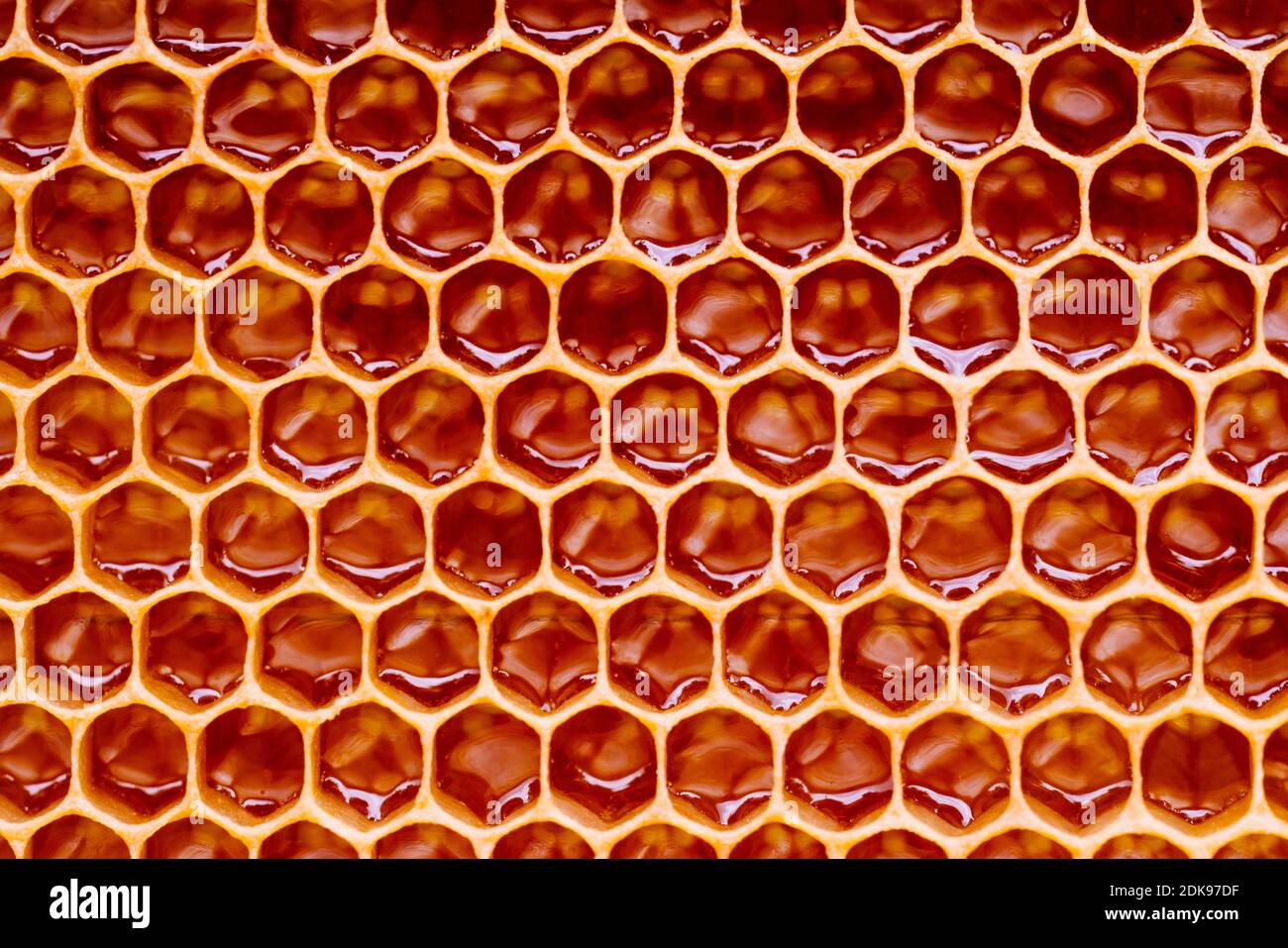 Honey Bee Wax Honeycomb Stock Photo by ©philkinsey 128419508