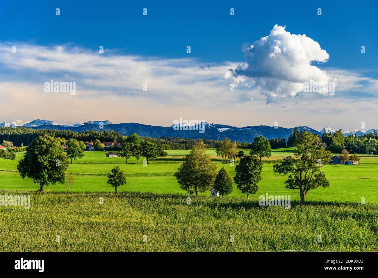 Germany, Bavaria, Upper Bavaria, Tölzer Land, Dietramszell, district Lochen, cultural landscape against the foothills of the Alps Stock Photo