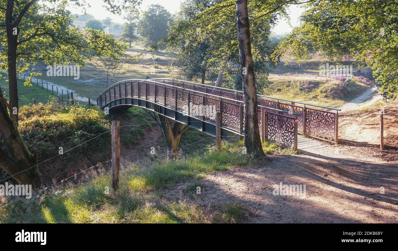 Iron bridge in the heathland of the Hoge Veluwe National Park in the Netherlands Stock Photo