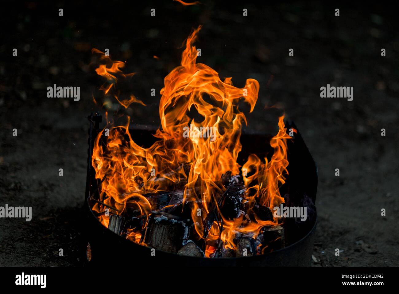 Sloth face close up hi-res stock photography and images - Alamy