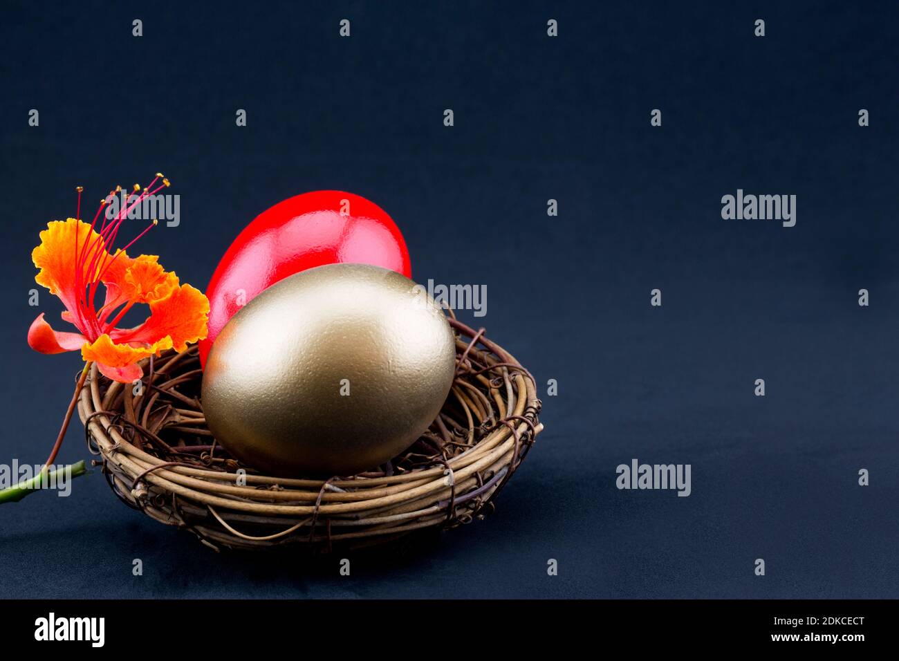 Business investment concepts seen in red and gold nest eggs accented by Red Bird of Paradise flower, all on black background with copy space on right. Stock Photo