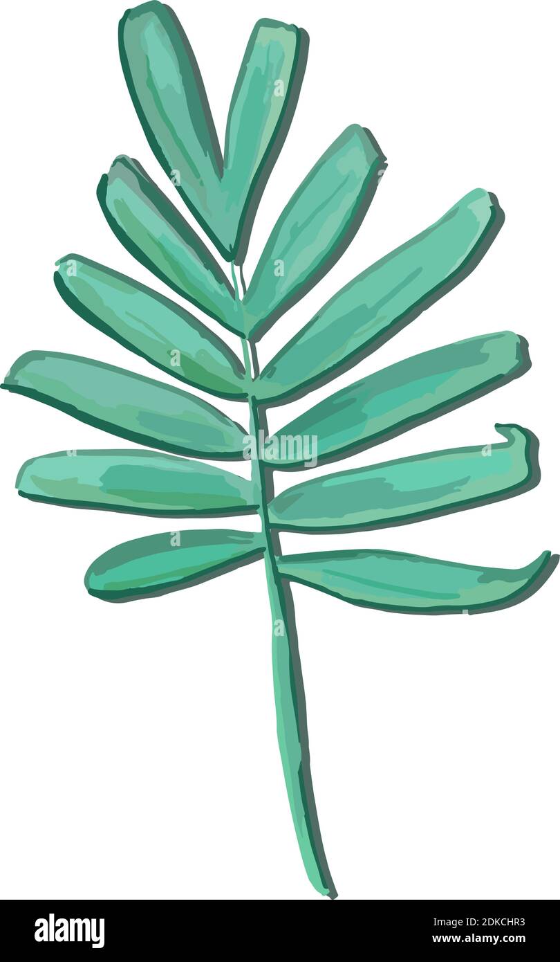 Illustration of isolated green leaf Stock Vector Image & Art - Alamy