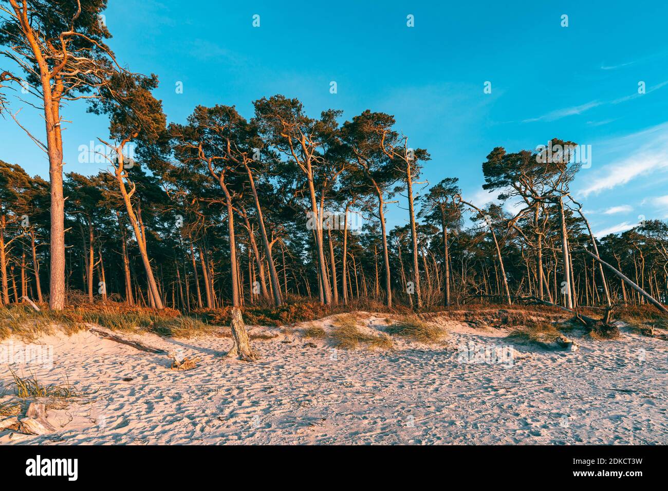 West beach, Baltic Sea, Fischland, Darß, Zingst, sunset, Baltic Sea coast, peninsula, Abtragung coast, Germany, Europe Stock Photo