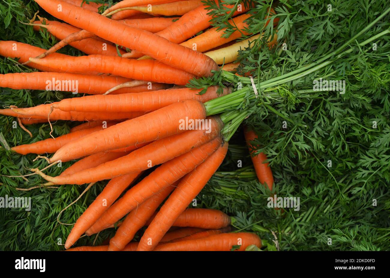 Close-up Of Carrots For Sale In Market Stock Photo