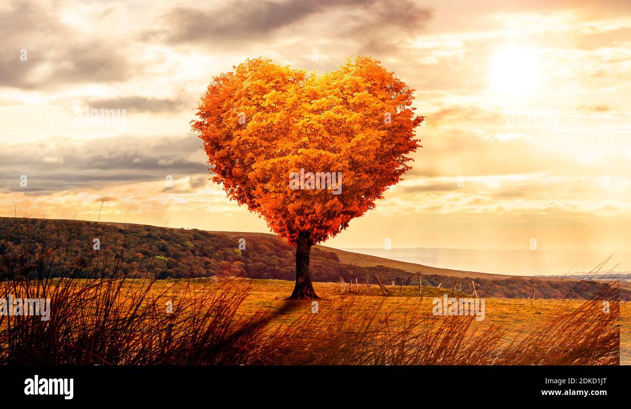 Heart shaped tree in a surreal landscape at sunset Stock Photo