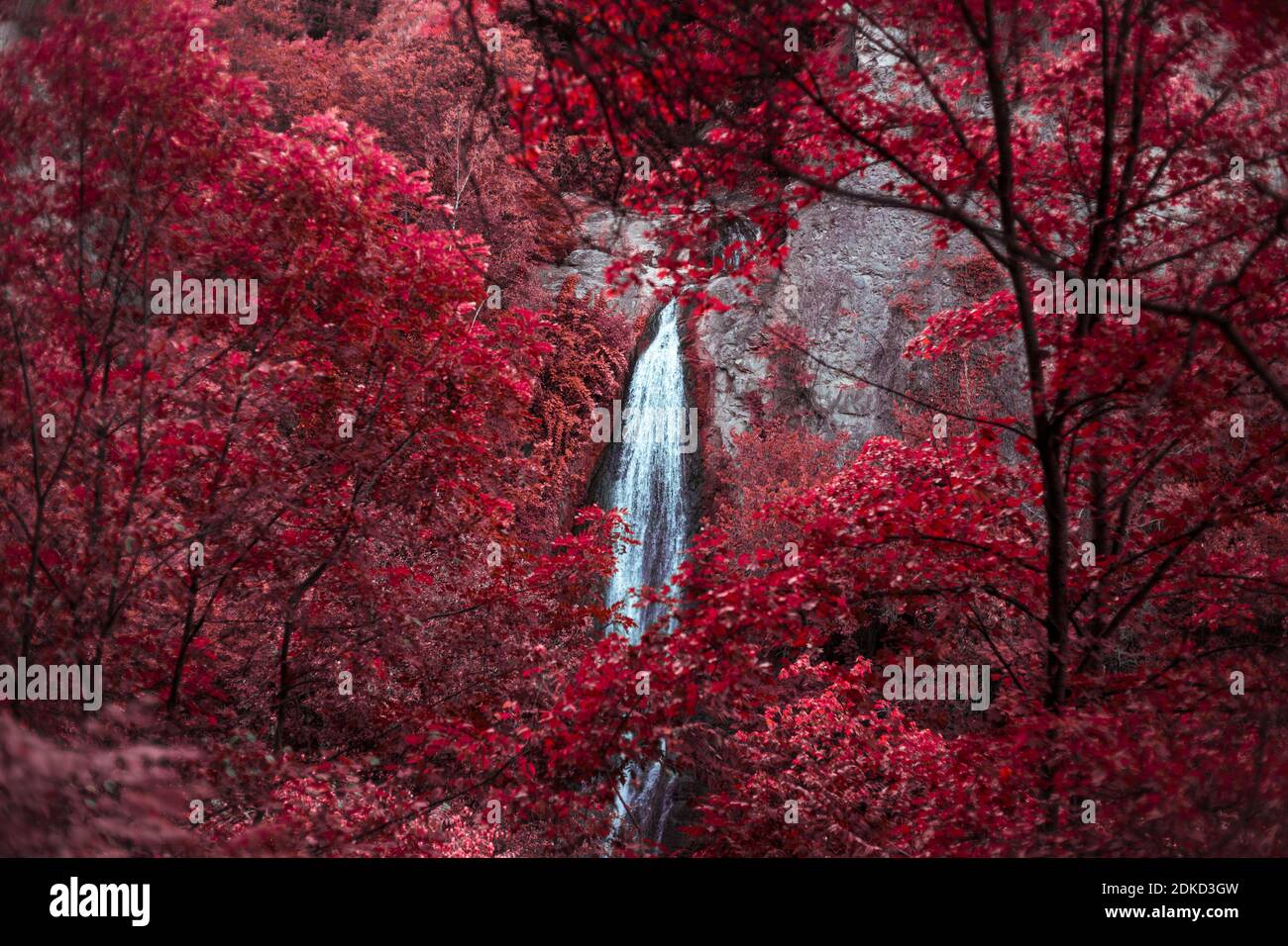 Waterfall In Tbilisi Botanical Garden, In Infrared Stock Photo