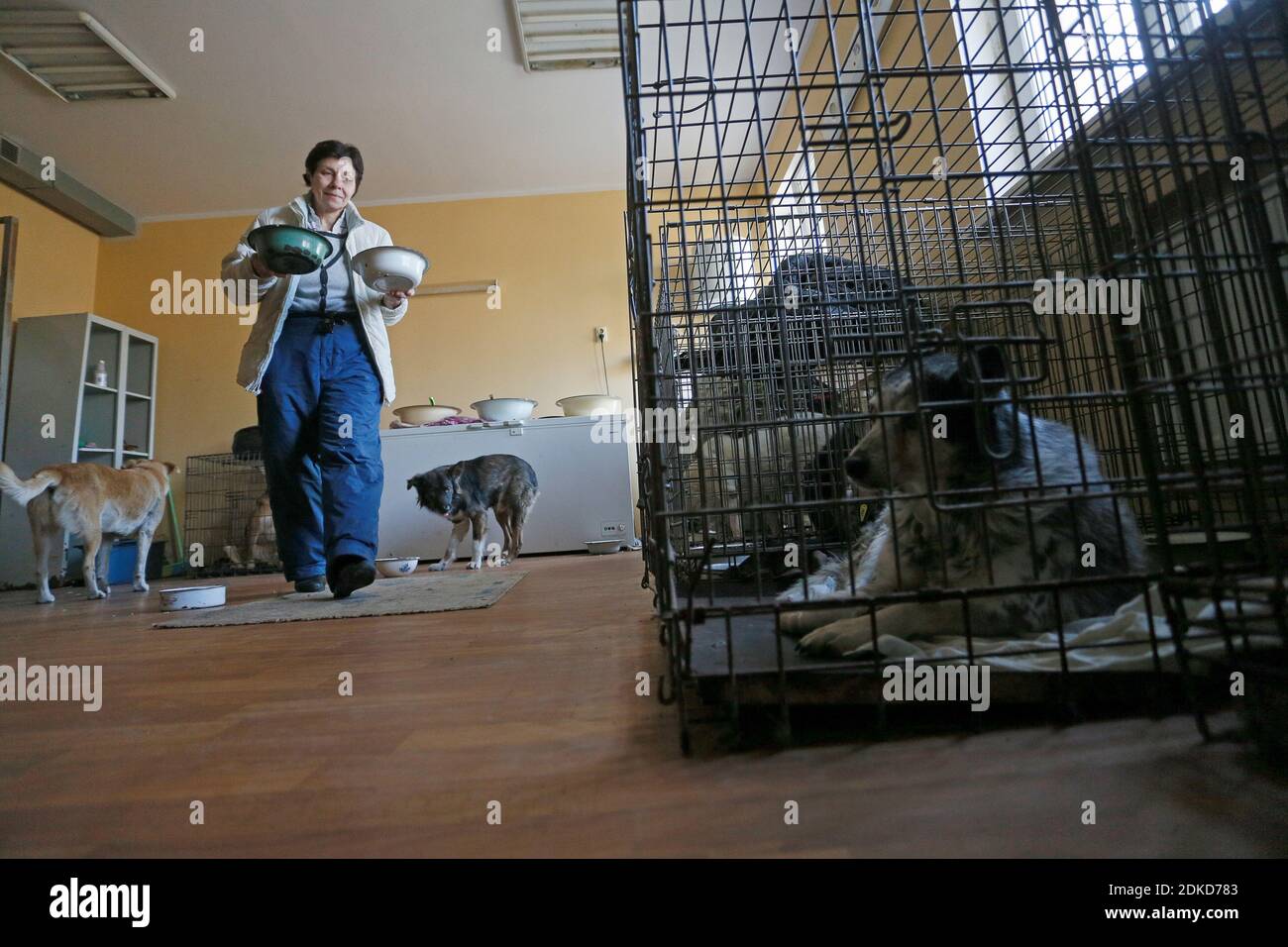 Animal Shelter Volunteers High Resolution Stock Photography And Images Alamy