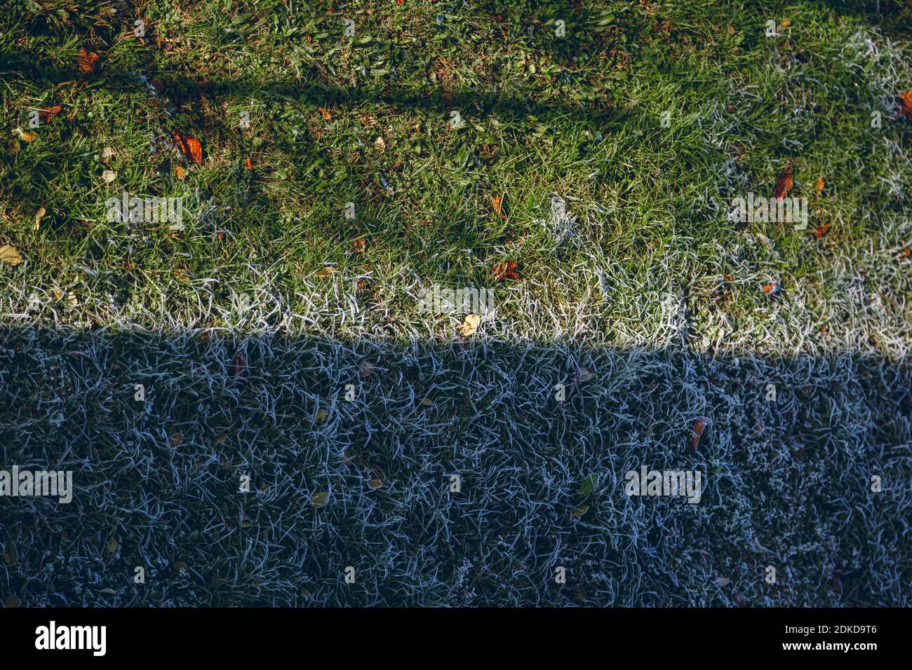 A high angle shot of a ground covered with frosted lawn Stock Photo - Alamy
