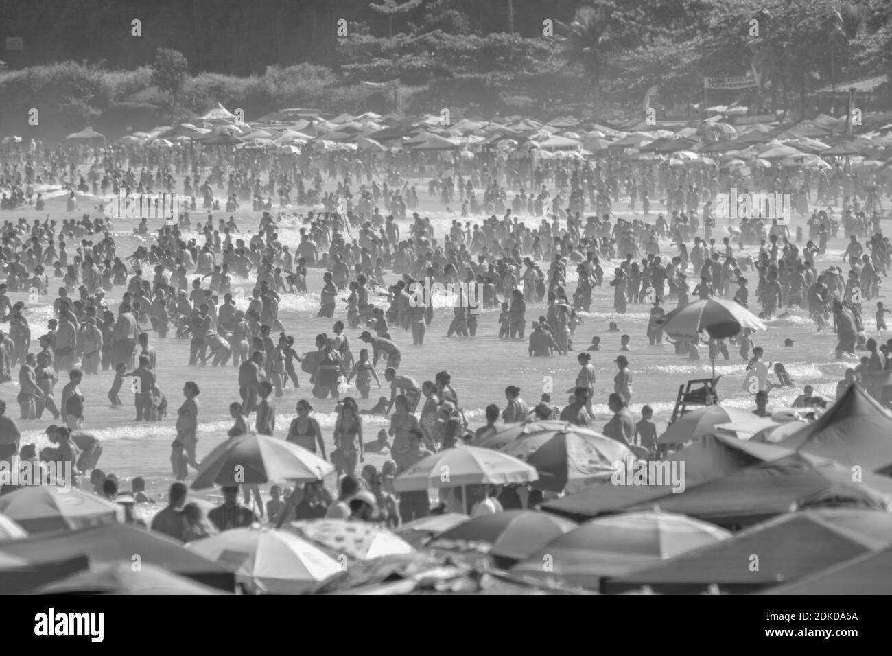 People Of The Sea" ⋆ Savoir Animal