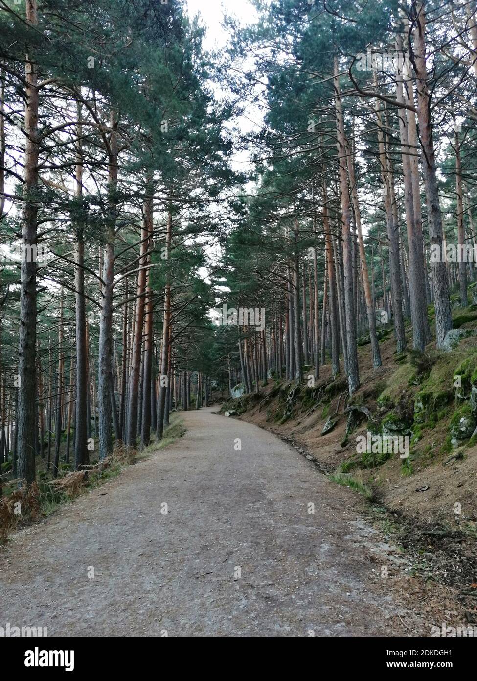Vertical shot walkway through hi-res stock photography and images - Alamy