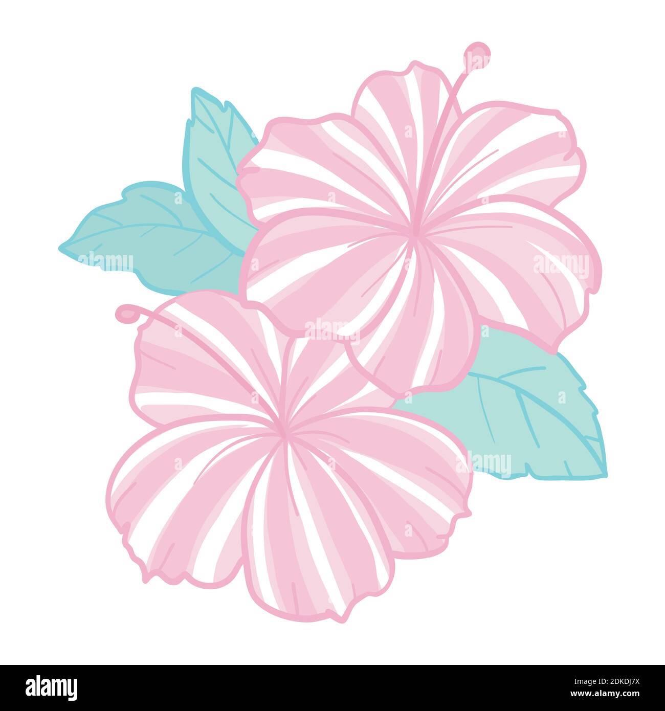 Tropical flowers elements. Collection of hibiscus flowers on a white background. Vector illustration bundle. Stock Vector