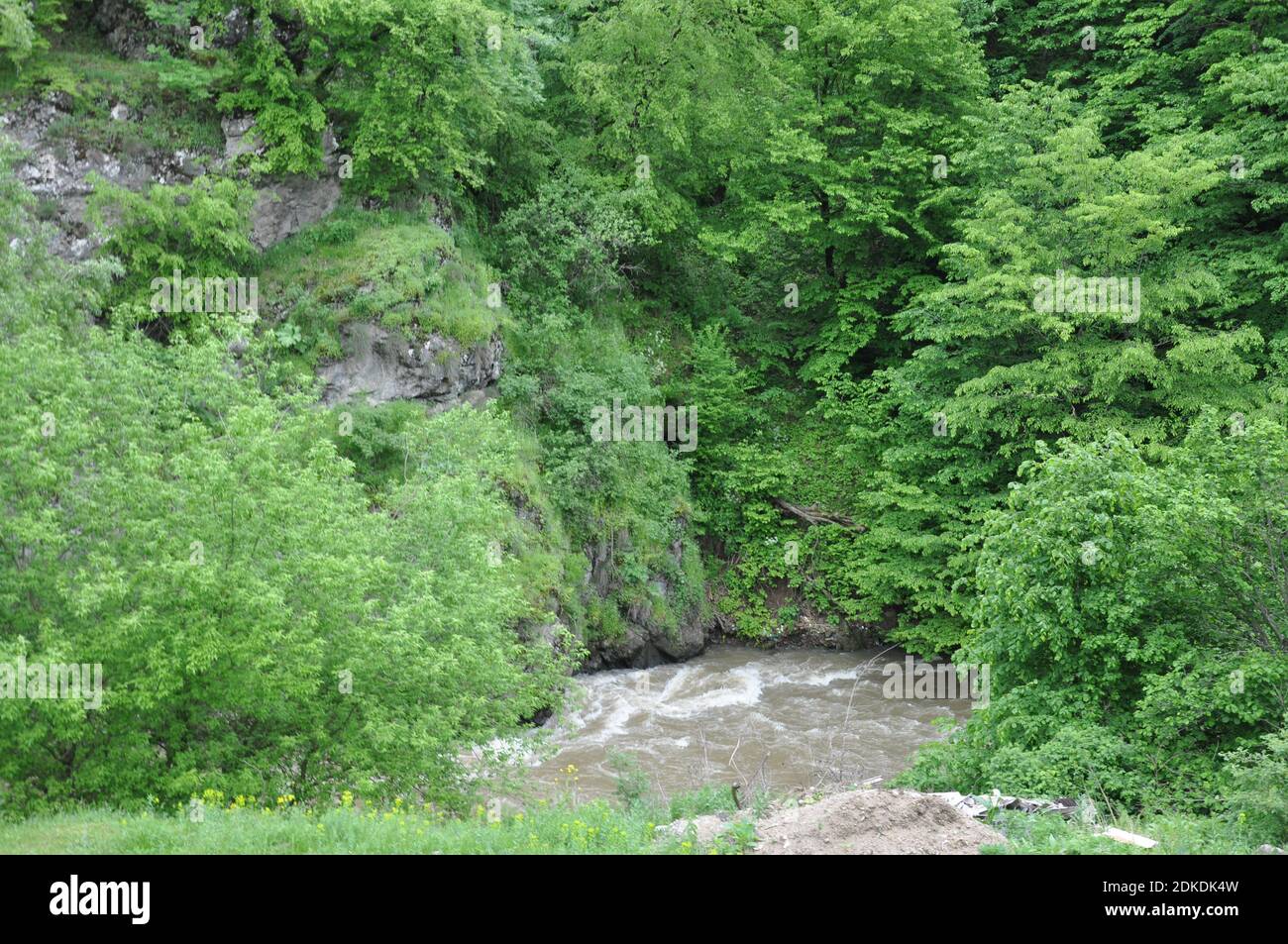 Trees near a river in Tavush province Armenia Stock Photo
