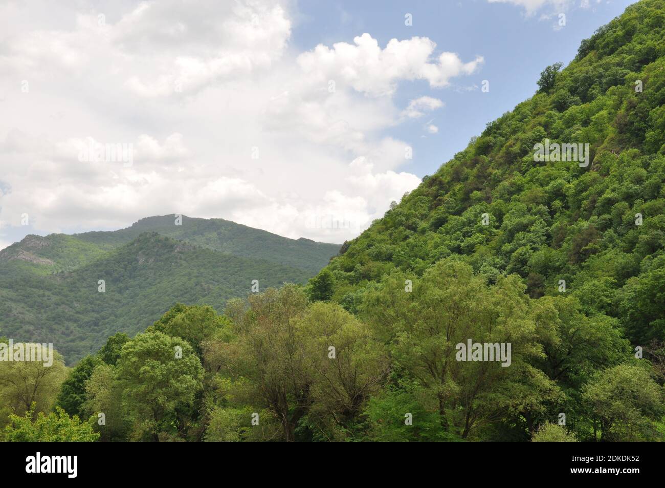 Green forest hills under cloudy sky in Tavush province Armenia Stock Photo