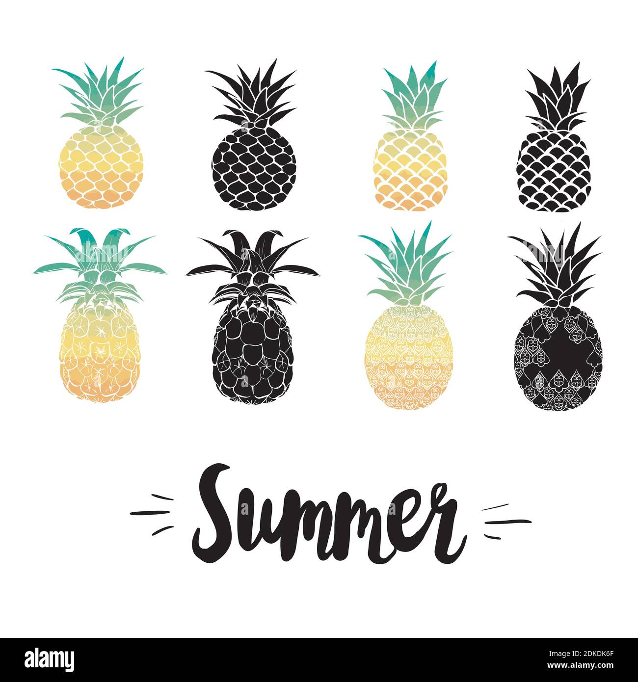 Pineapple vector black silhouette and sketch. Vector illustration. Stock Vector