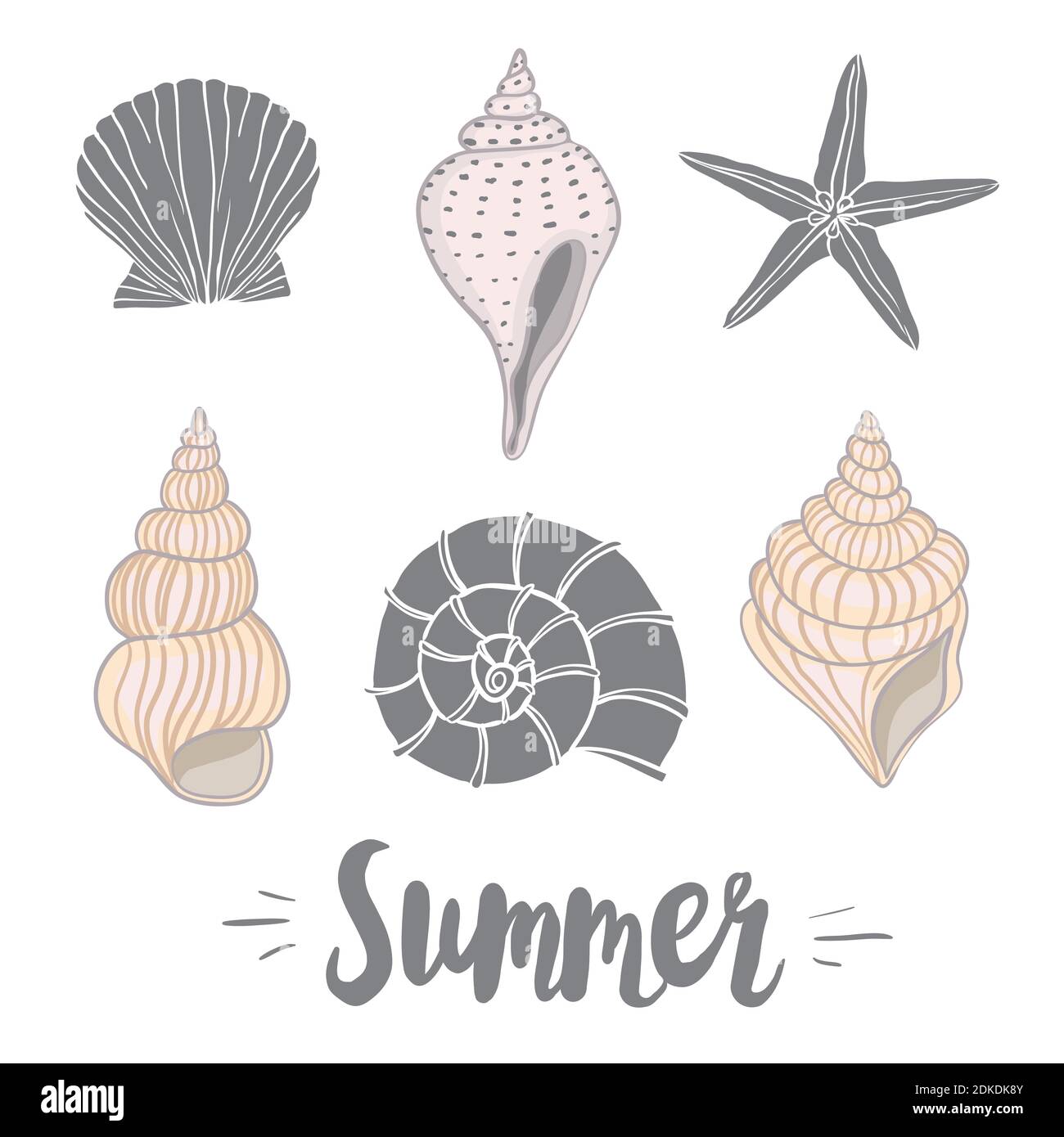 Hand drawn vector illustrations - collection of seashells. Marine set. Stock Vector