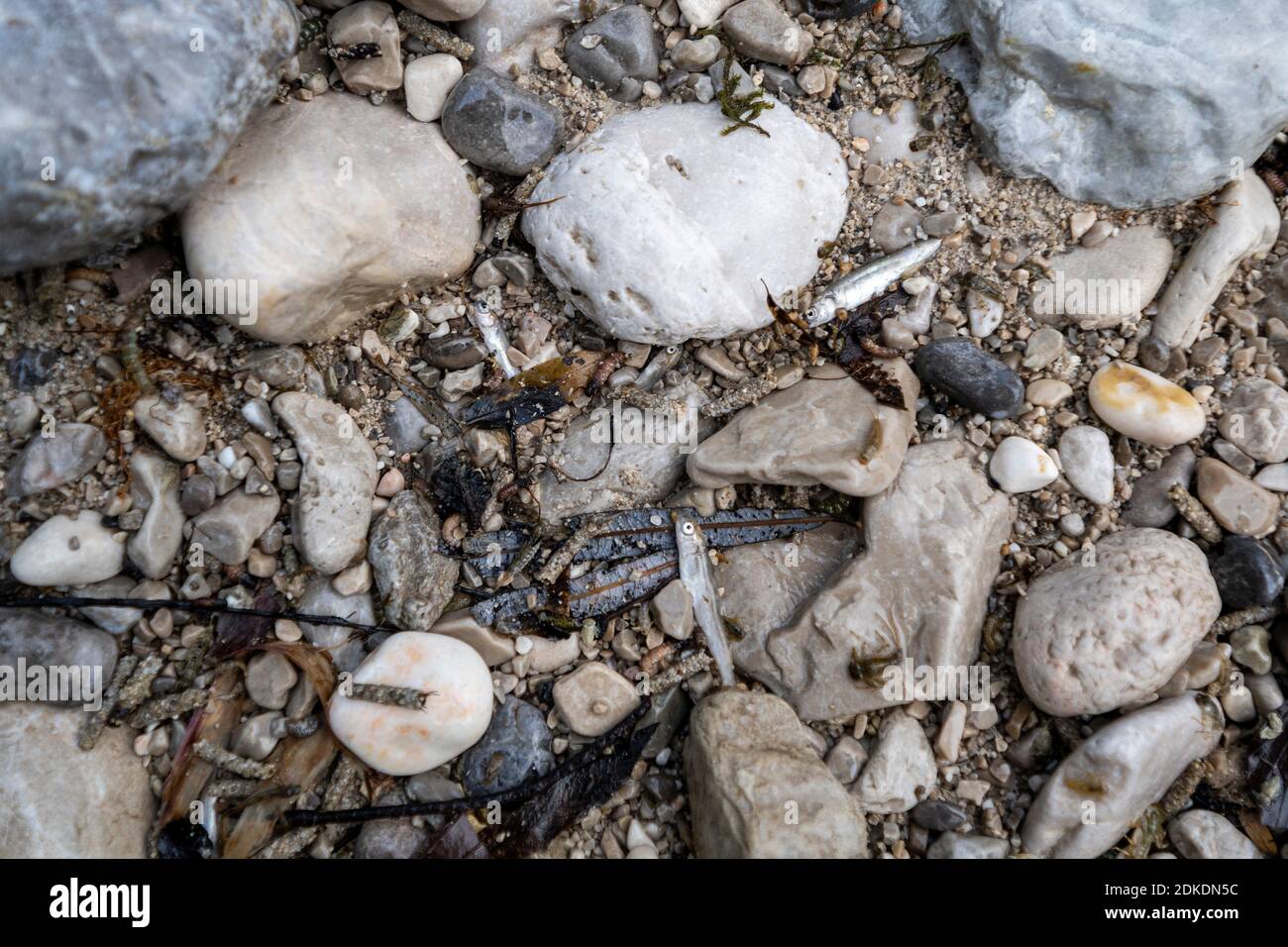 After the Krün hydropower plant was flushed, the Isar fell completely