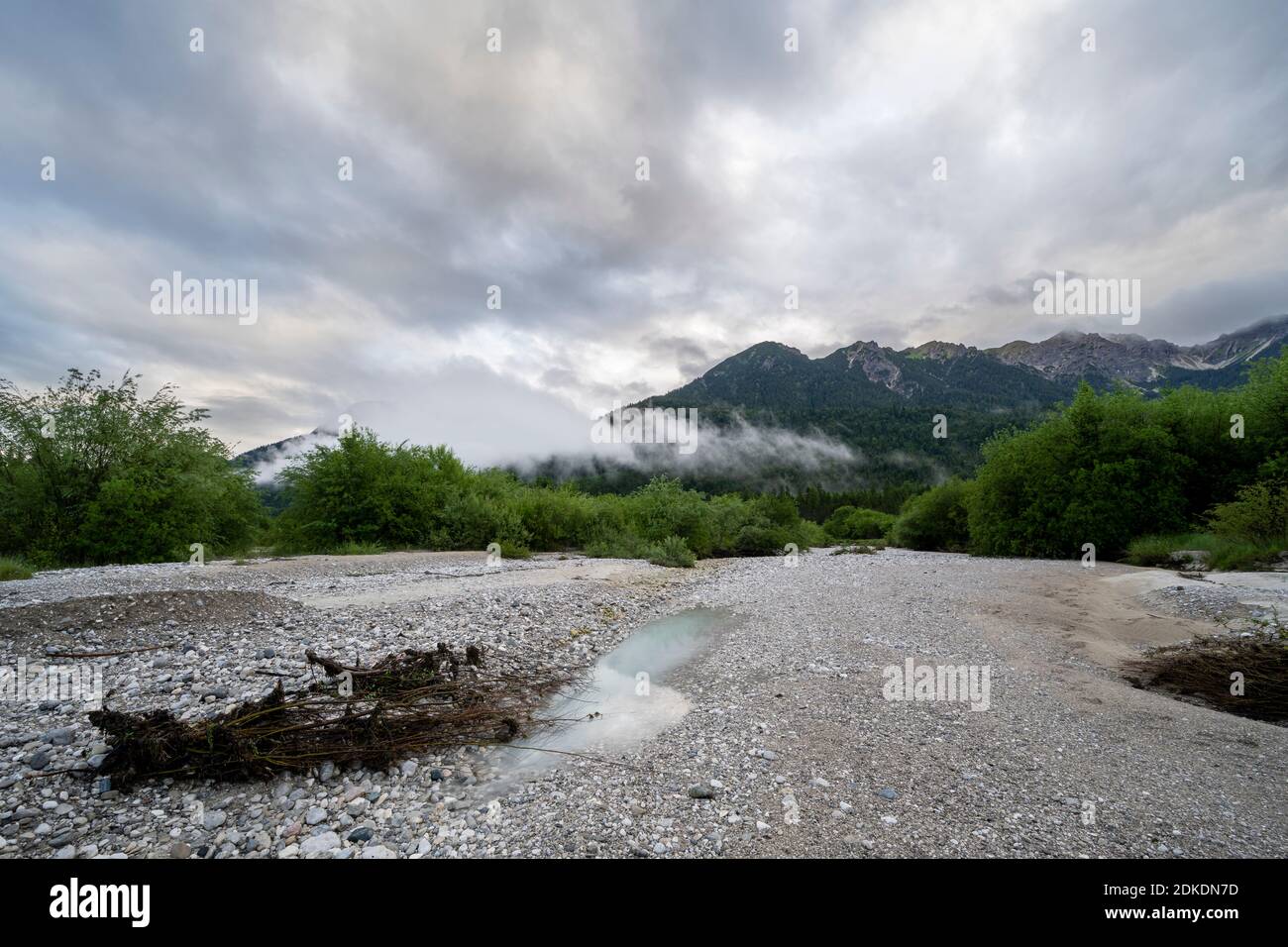 After the Krün hydropower plant was flushed, the Isar fell completely dry in some places. Small and large trout, cops and many small animals that are important for the biological balance have died. Stock Photo