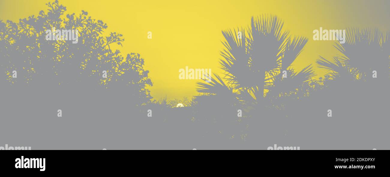 Visualization beach hi-res stock photography and images - Alamy