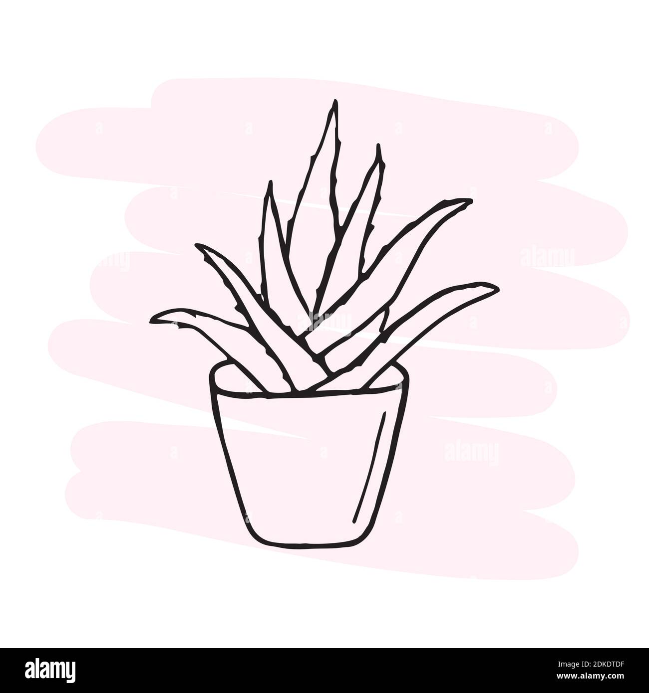 Aloe vera contour drawing. Separate vector illustration. Doodle Stock Vector