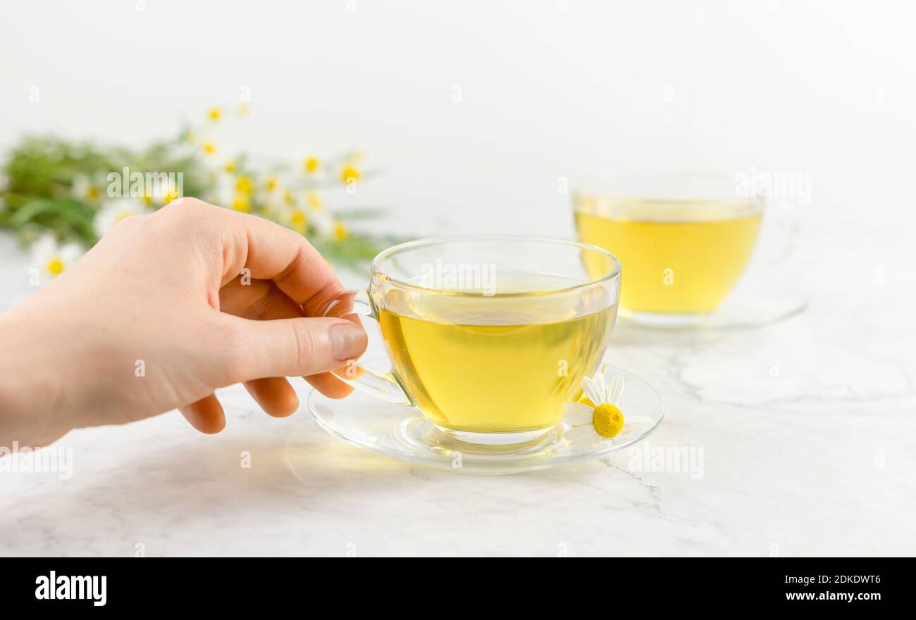 hend take a glass cup of chamomile tea on a white background.with ...