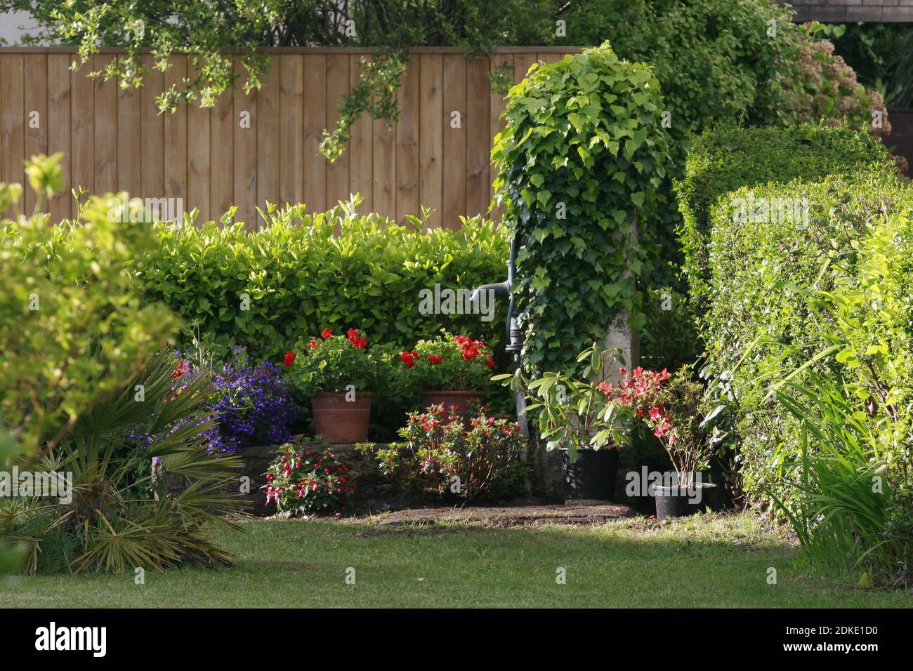 belle photographie de jardin avec pompe à eau pour illustrer un article de magazine, de livre ou de journal Stock Photo