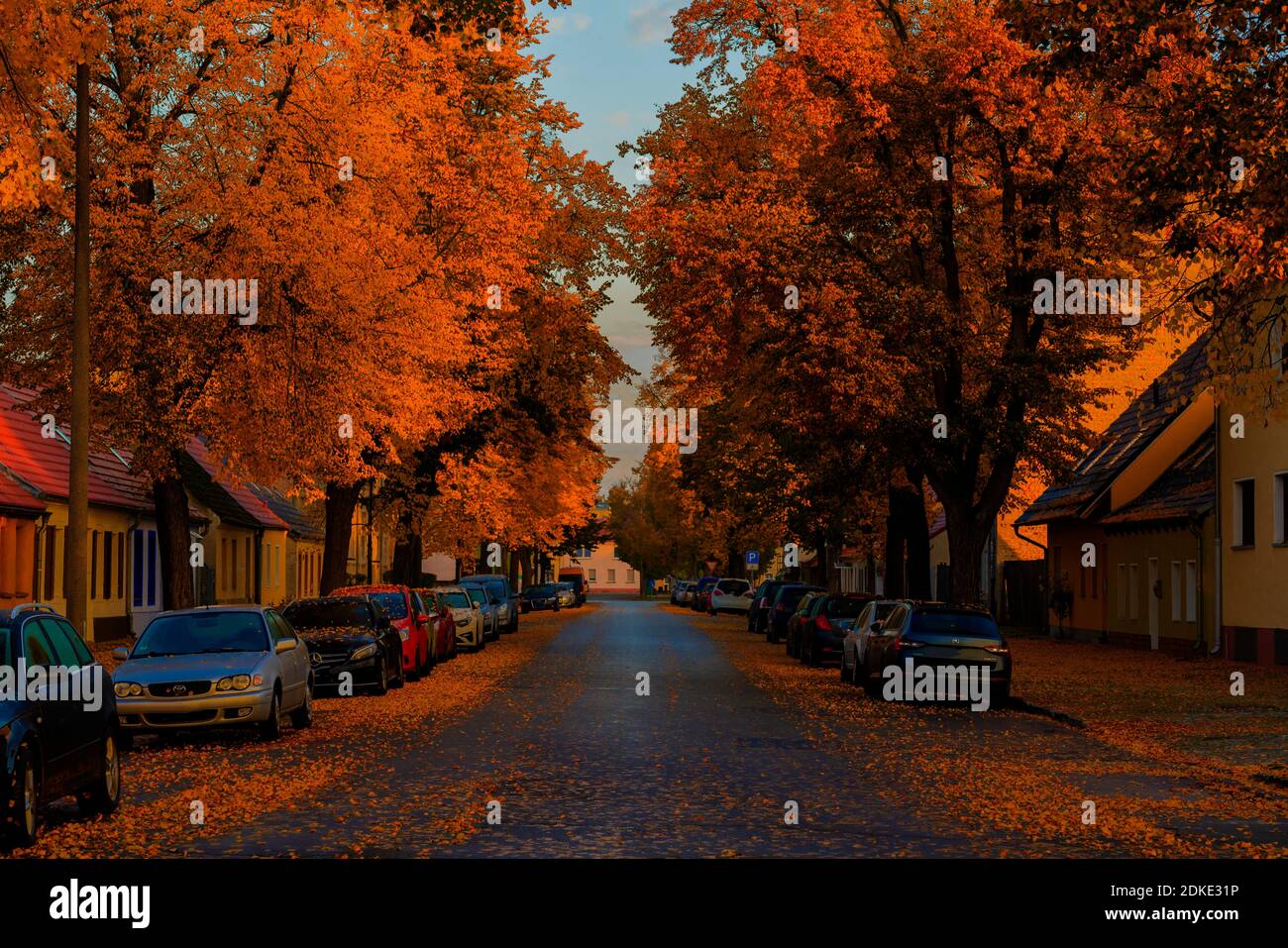 Shortly after sunrise in autumn in the town of Luckenwalde in the state of Brandenburg, view through the Heidestraße, parked cars at the roadside, autumn leaves on the road , Golden October Stock Photo