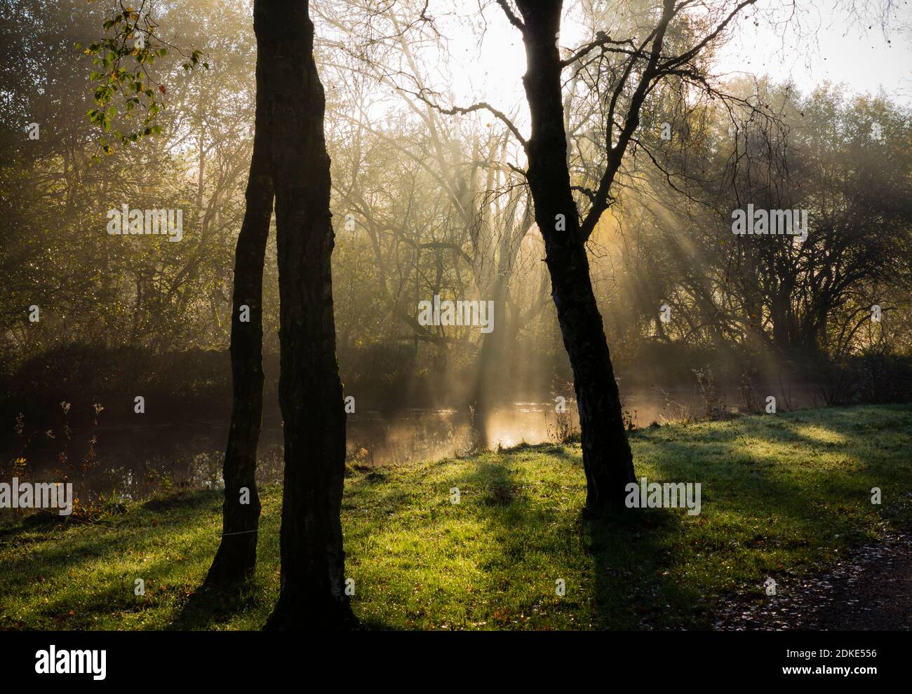 Early morning sunshine streaming through mist and trees on the Cromford Canal in the Derbyshire Peak District England UK Stock Photo