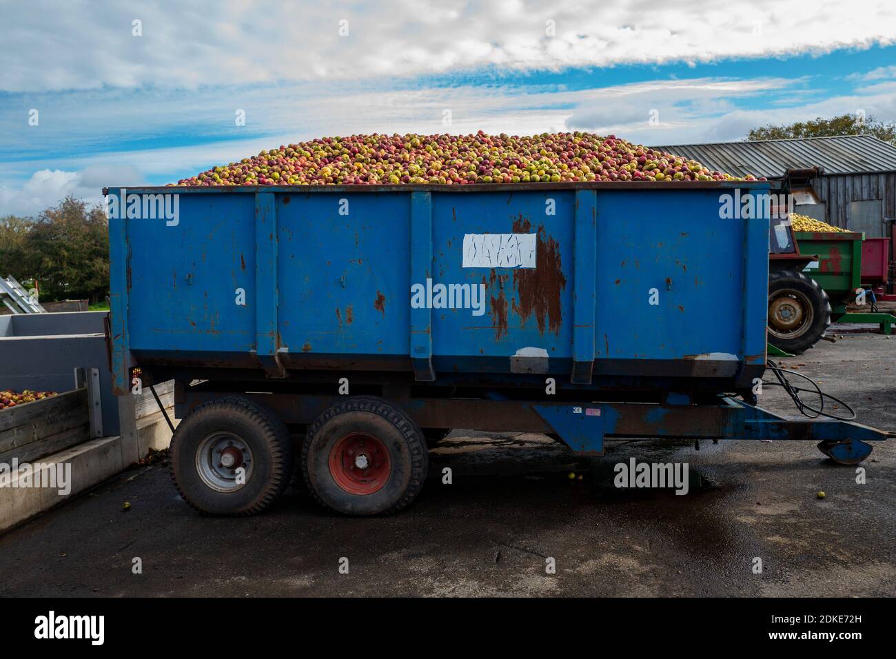 Wilkin's cider farm hires stock photography and images Alamy