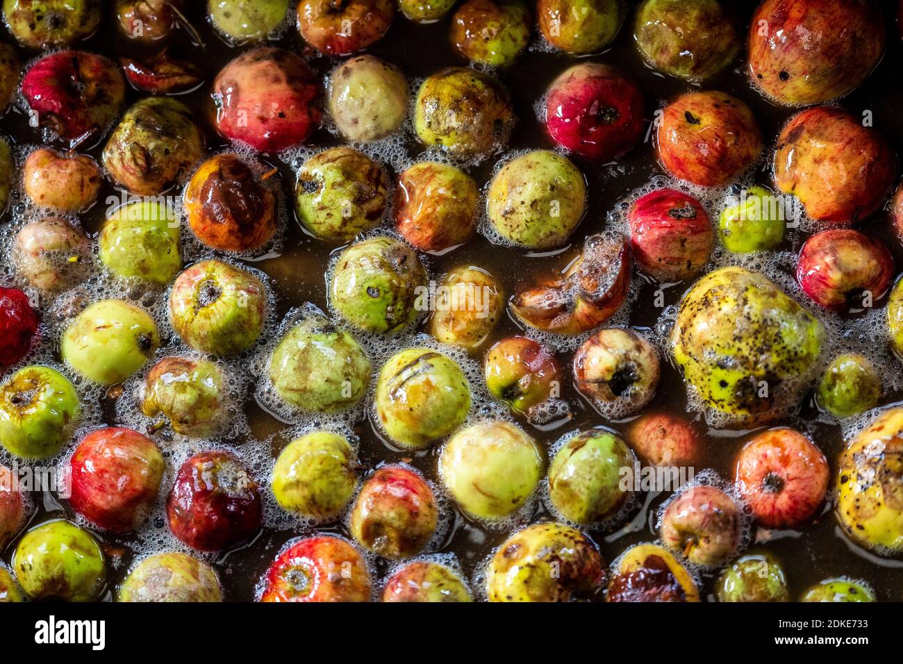 Traditional cider making takes place at Rich’s Cider Farm in Somerset
