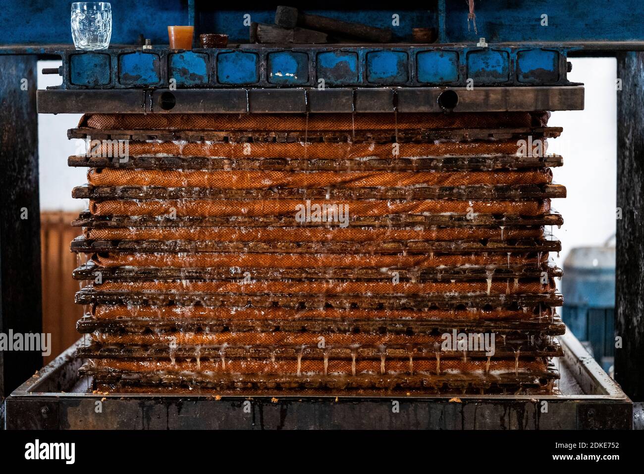 Traditional cider making takes place at Wilkins Cider farm in Mudgley