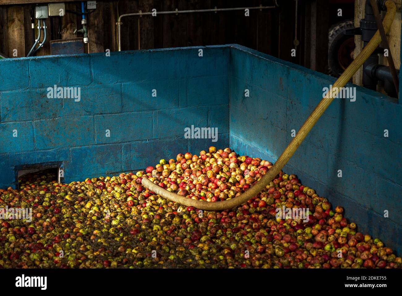 Burrow hill cider farm hires stock photography and images Alamy