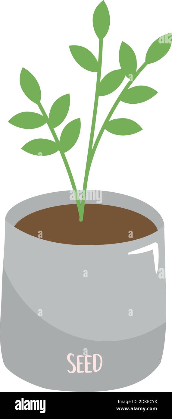 plant in a pot icon over white background, colorful design, vector ...
